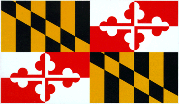mdflag_lg2