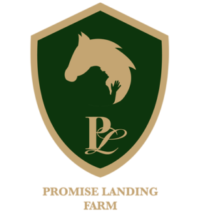 PLF+B&Gr+(1)V2